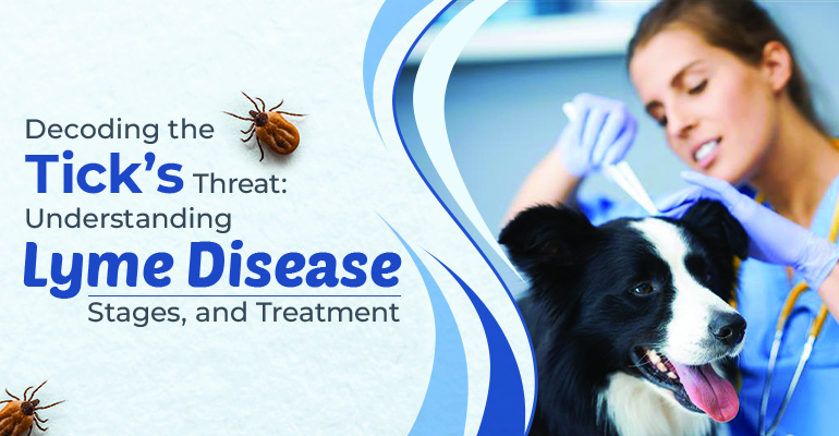 lyme disease in dogs