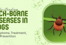 tick borne diseases in dogs