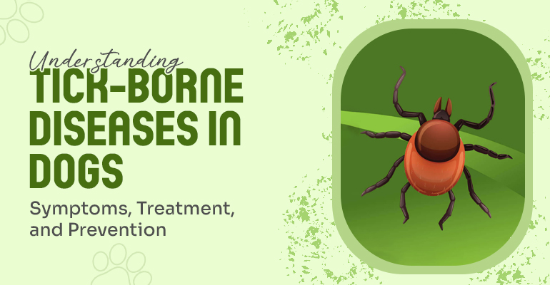 tick borne diseases in dogs