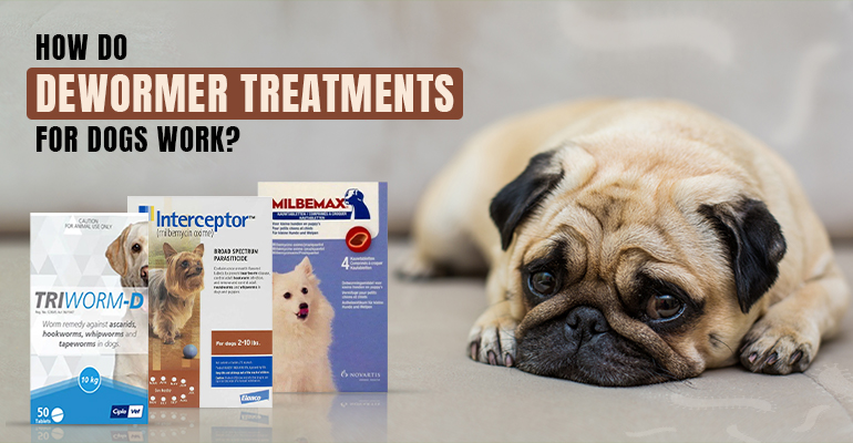 how do dewormers work in dogs