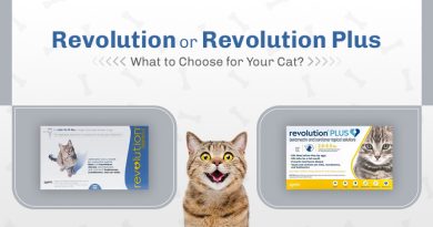 revolution vs revolution plus