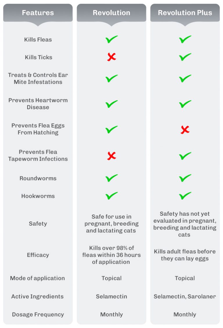French Revolution VS. Iran Revolution By Manpreet Pannu On