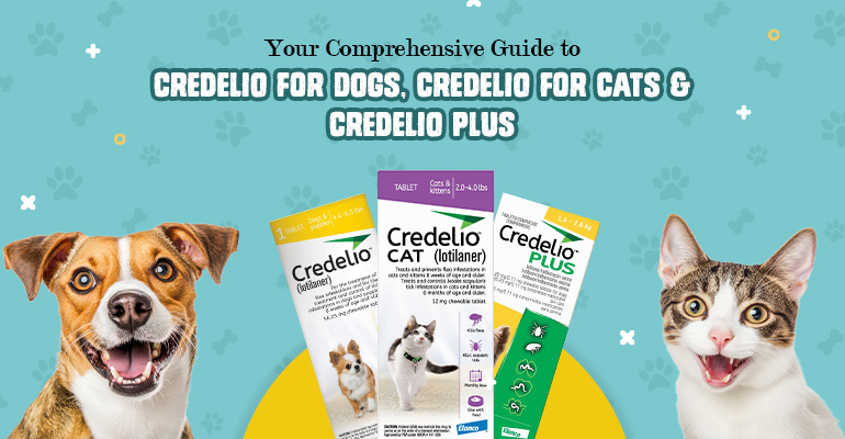 credelio Products for parasite free Pet