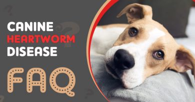 Canine Heartworm Disease – FAQ heartworm in dogs faq