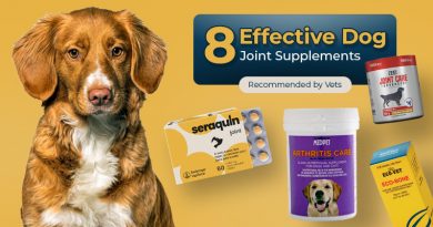 Effective Dog Joint Supplements Recommended by Vets