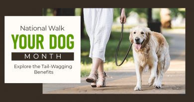 National Walk Your Dog Month