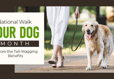 National Walk Your Dog Month