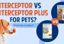 Interceptor or Interceptor Plus for Pets? Which One to Select? Interceptor vs Interceptor Plus