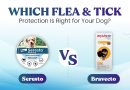 Seresto vs. Bravecto: Which Flea & Tick Protection Is Right for Your Dog? seresto-vs-bravecto-which-flea-&-tick-protection-is-right-for-your-dog