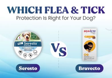 Seresto vs. Bravecto: Which Flea & Tick Protection Is Right for Your Dog? seresto-vs-bravecto-which-flea-&-tick-protection-is-right-for-your-dog