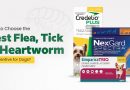 how-to-choose-the-best-flea-tick-heartworm-preventive-for-dogs