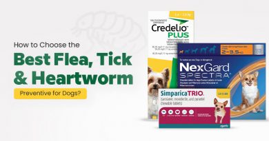 How to Choose the Best Flea, Tick & Heartworm Preventive for Dogs? how-to-choose-the-best-flea-tick-heartworm-preventive-for-dogs