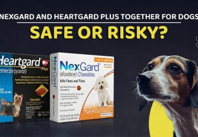NexGard and Heartgard Plus Together for Dogs: Safe or Risky? nexgard-and-heartgard-plus-together-for-dogs-safe-or-risky