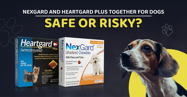 nexgard-and-heartgard-plus-together-for-dogs-safe-or-risky