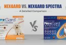 Nexgard vs. Nexgard Spectra: A Detailed Comparison nexgard-vs-nexgard-spectra-a-detailed-comparison