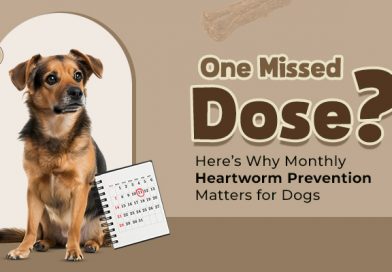one-missed-dose-heres-why-monthly-heartworm-prevention-matters-for-dogs
