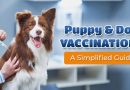 Puppy & Dog Vaccinations – A Simplified Guide puppy-and-dog-vaccinations-a-simplified-guide
