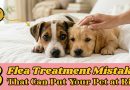 8 Flea Treatment Mistakes That Can Put Your Pet at Risk 8-flea-treatment-mistakes-that-can-put-your-pet-at-risk