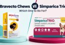 Bravecto Chews vs. Simparica Trio: Which One to Go For? bravecto-chews-vs-simparica-trio-which-one-to-go-for