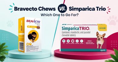 bravecto-chews-vs-simparica-trio-which-one-to-go-for