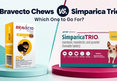 Bravecto Chews vs. Simparica Trio: Which One to Go For? bravecto-chews-vs-simparica-trio-which-one-to-go-for