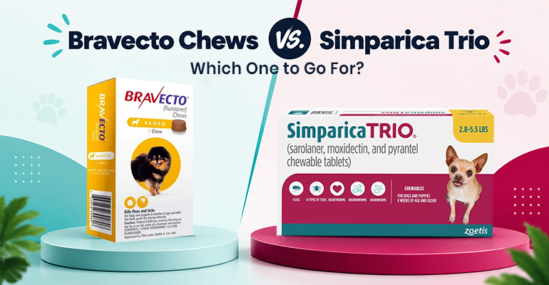 bravecto-chews-vs-simparica-trio-which-one-to-go-for