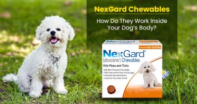 nexgard-chewables-how-do-they-work-inside-your-dogs-body