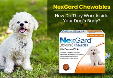 nexgard-chewables-how-do-they-work-inside-your-dogs-body