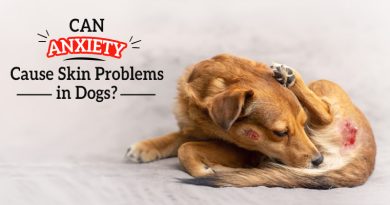 can-anxiety-cause-skin-problems-in-dogs