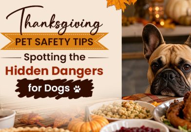 Thanksgiving Pet Safety Tips: Spotting the Hidden Dangers for Dogs thanksgiving-pet-safety-tips-spotting-the-hidden-dangers-for-dogs