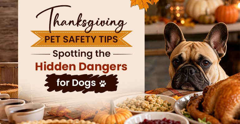 thanksgiving-pet-safety-tips-spotting-the-hidden-dangers-for-dogs