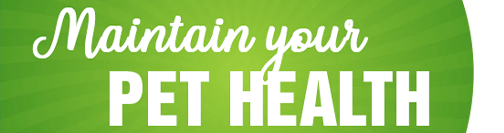 Flea and Tick Sale