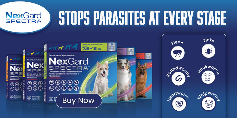 Nexgard Spectra Chewable Tablets for Dogs