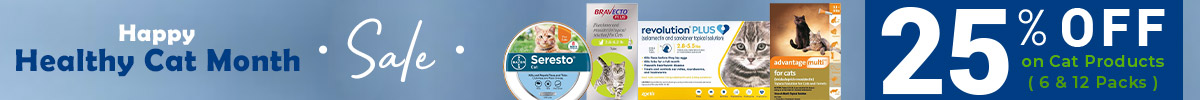 Cat Month Sale