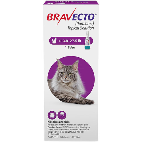 Bravecto Spot-On For Large Cats 13.8 Lbs - 27.5 Lbs (Purple) 500 Mg 1 Pack-image-9731