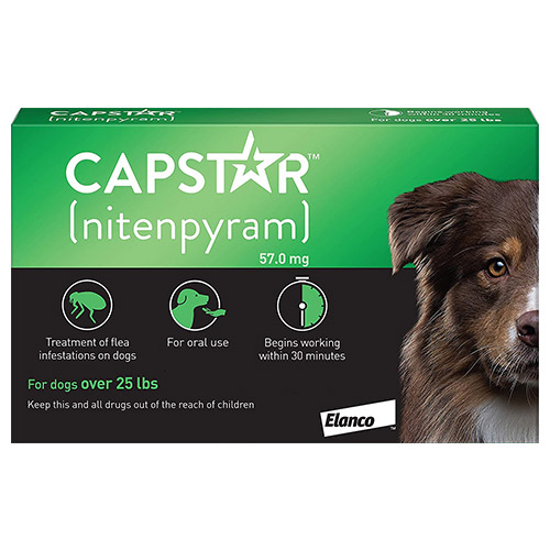 Capstar For Large Dogs Over 11kg (Green) 12 Tablets-image-9500