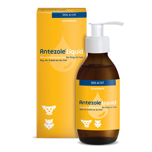 Antezole Liquid Suspension For Cats & Dogs 100 Ml-image-9827
