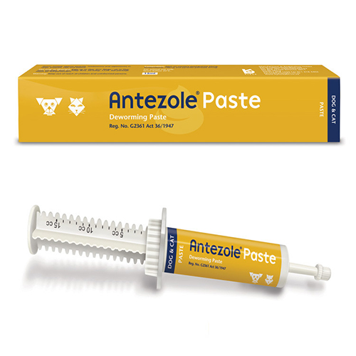 Antezole Paste For Cats & Dogs 30 Ml-image-9830