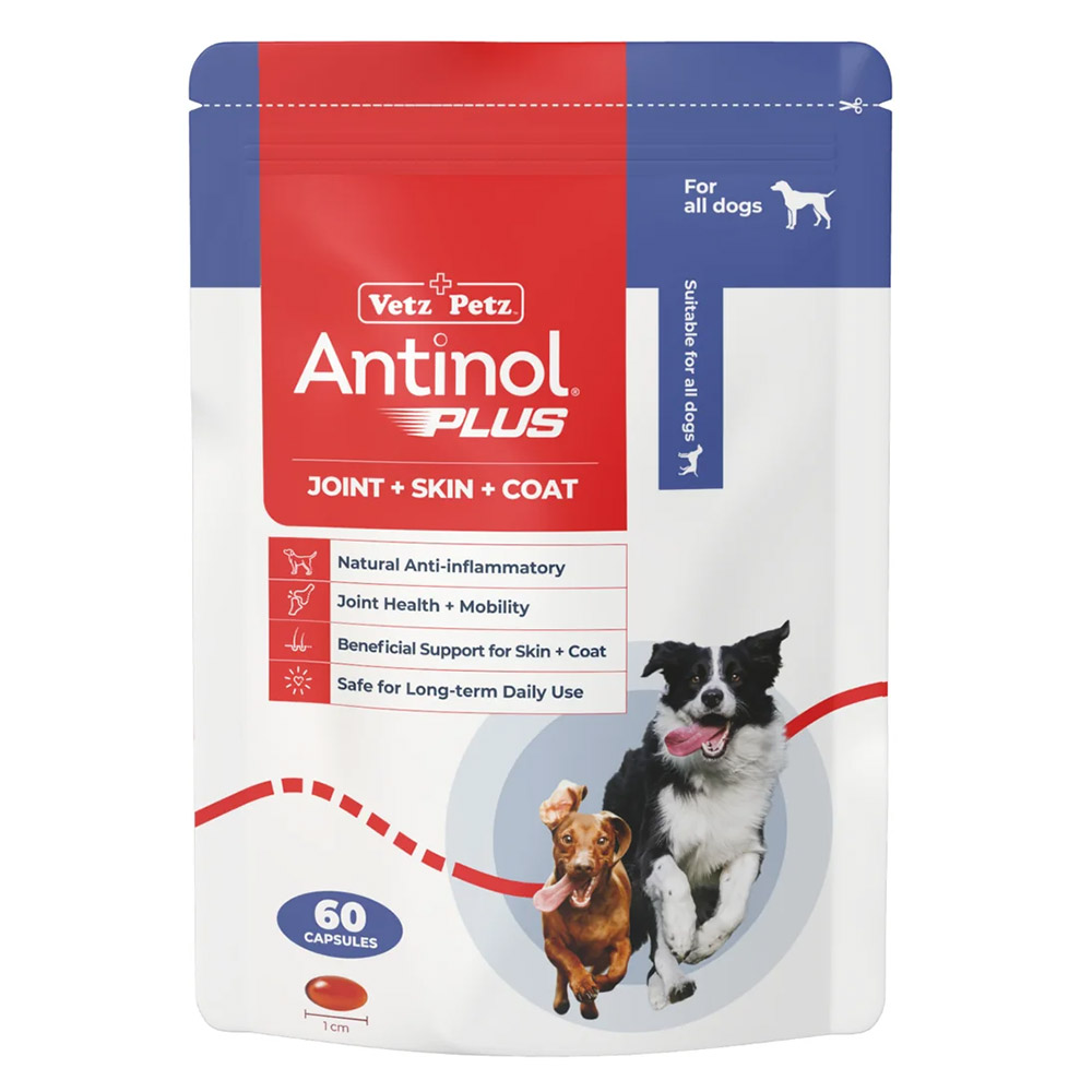 Antinol Plus Natural Anti Inflammatory Joint & Mobility Capsules For Dogs 60 Capsule-image-21723