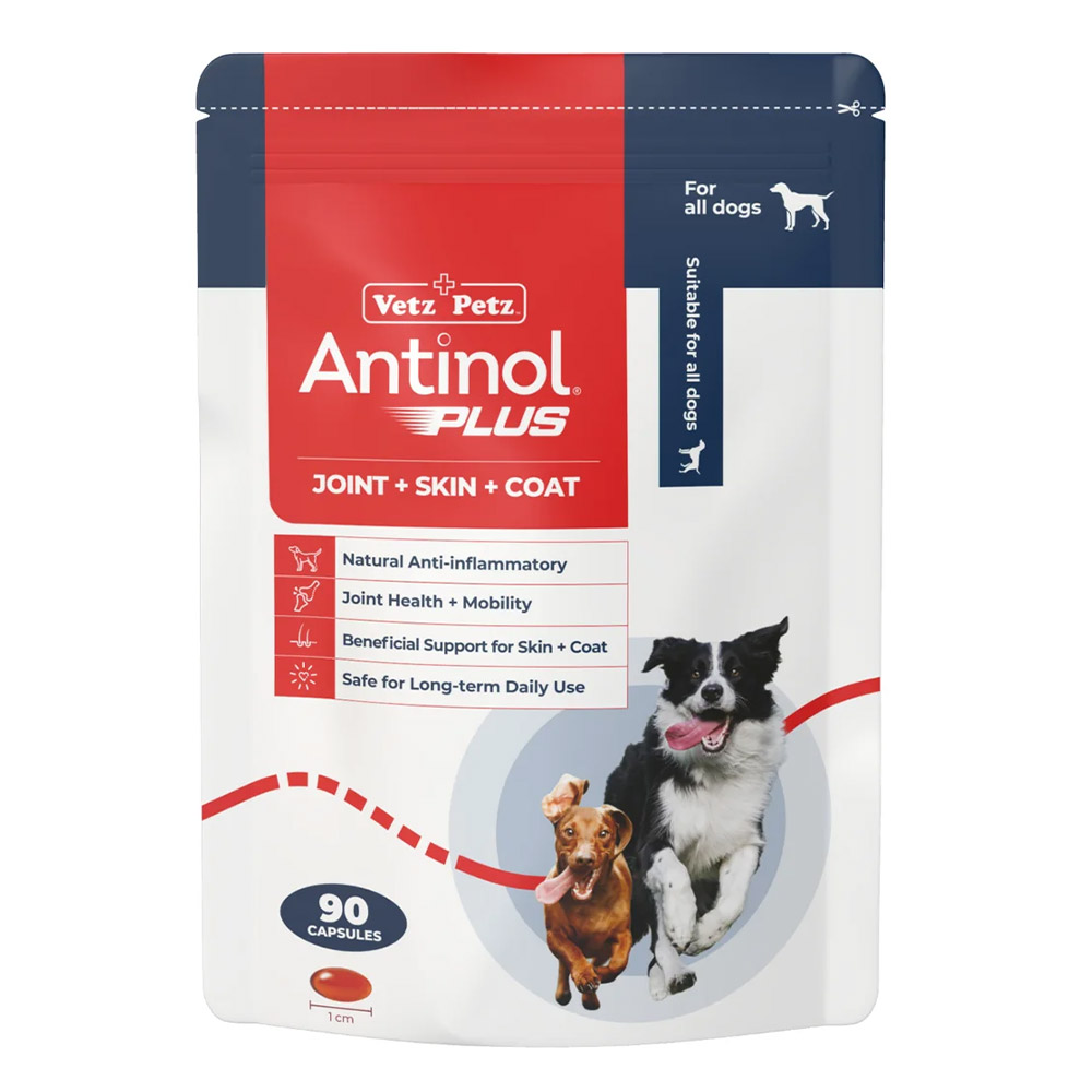 Antinol Plus Natural Anti Inflammatory Joint & Mobility Capsules For Dogs 90 Capsule-image-21724