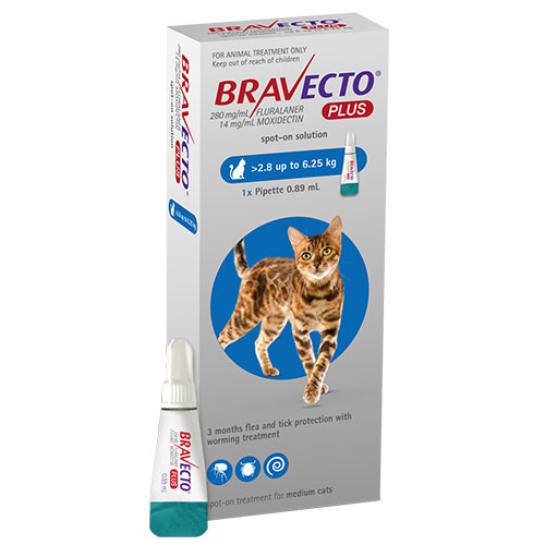 Bravecto Plus For Medium Cats 250 Mg (6.2 To 13.75 Lbs) Blue 2 Doses-image-10403