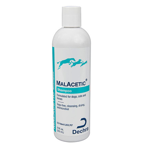 Malacetic Shampoo for Dogs & Cats 230 ml
