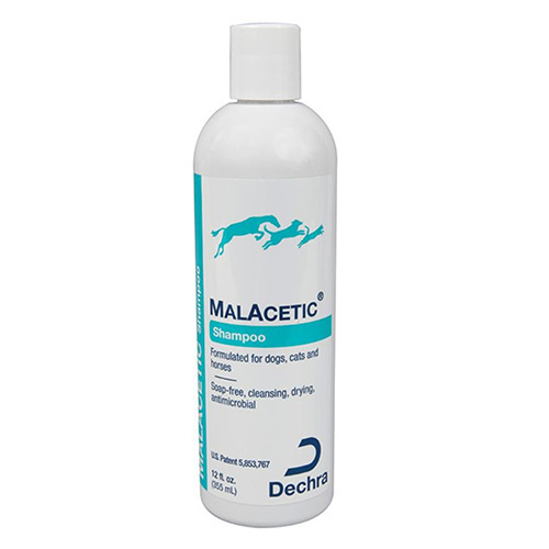 Malacetic Shampoo For Cats And Dogs 230 Ml 1 Pack