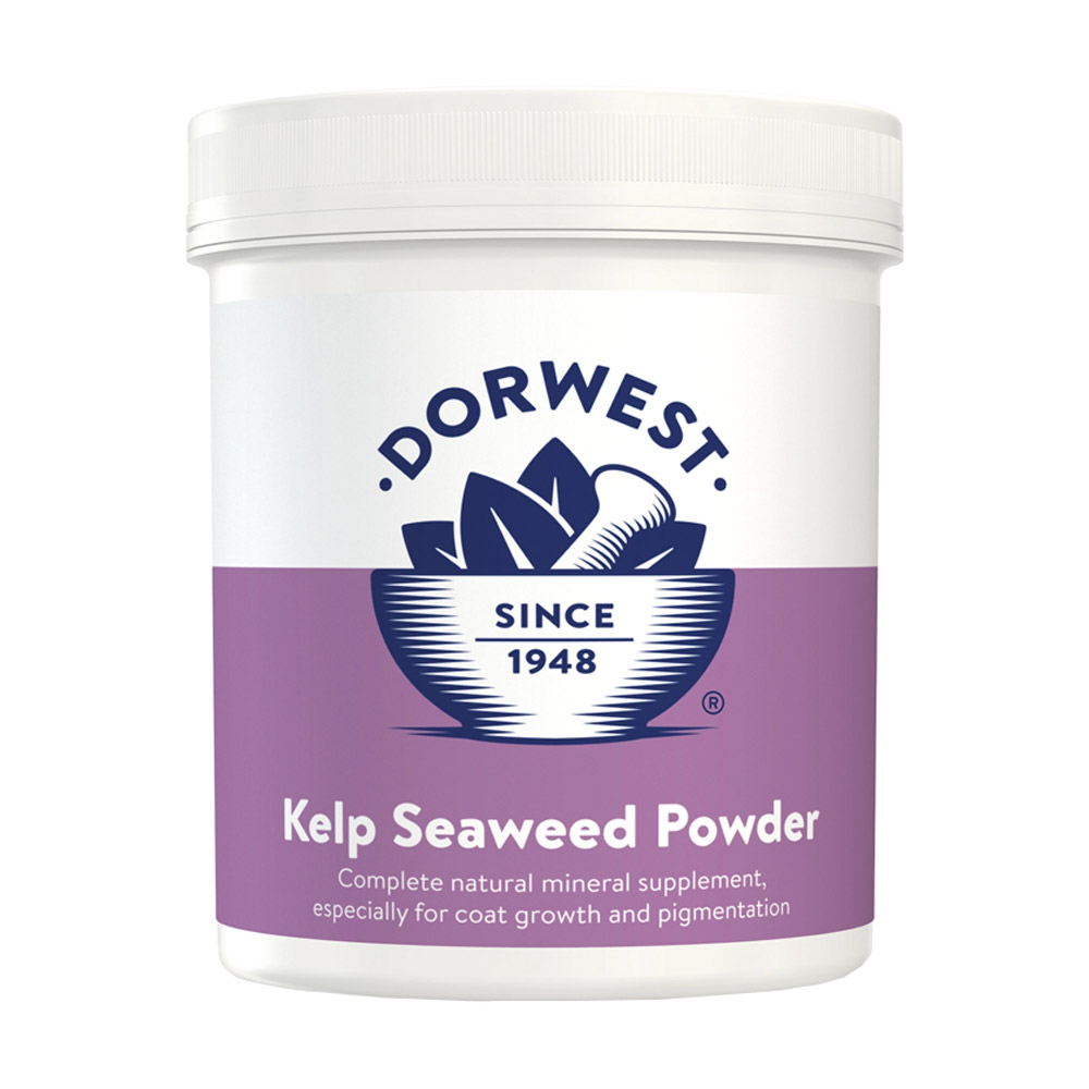 Dorwest Kelp Seaweed Powder For Dogs And Cats 250 Gm-image-21466