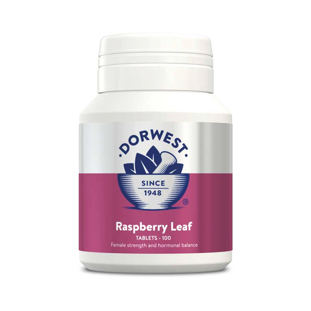 Dorwest Raspberry Leaf Tablets 