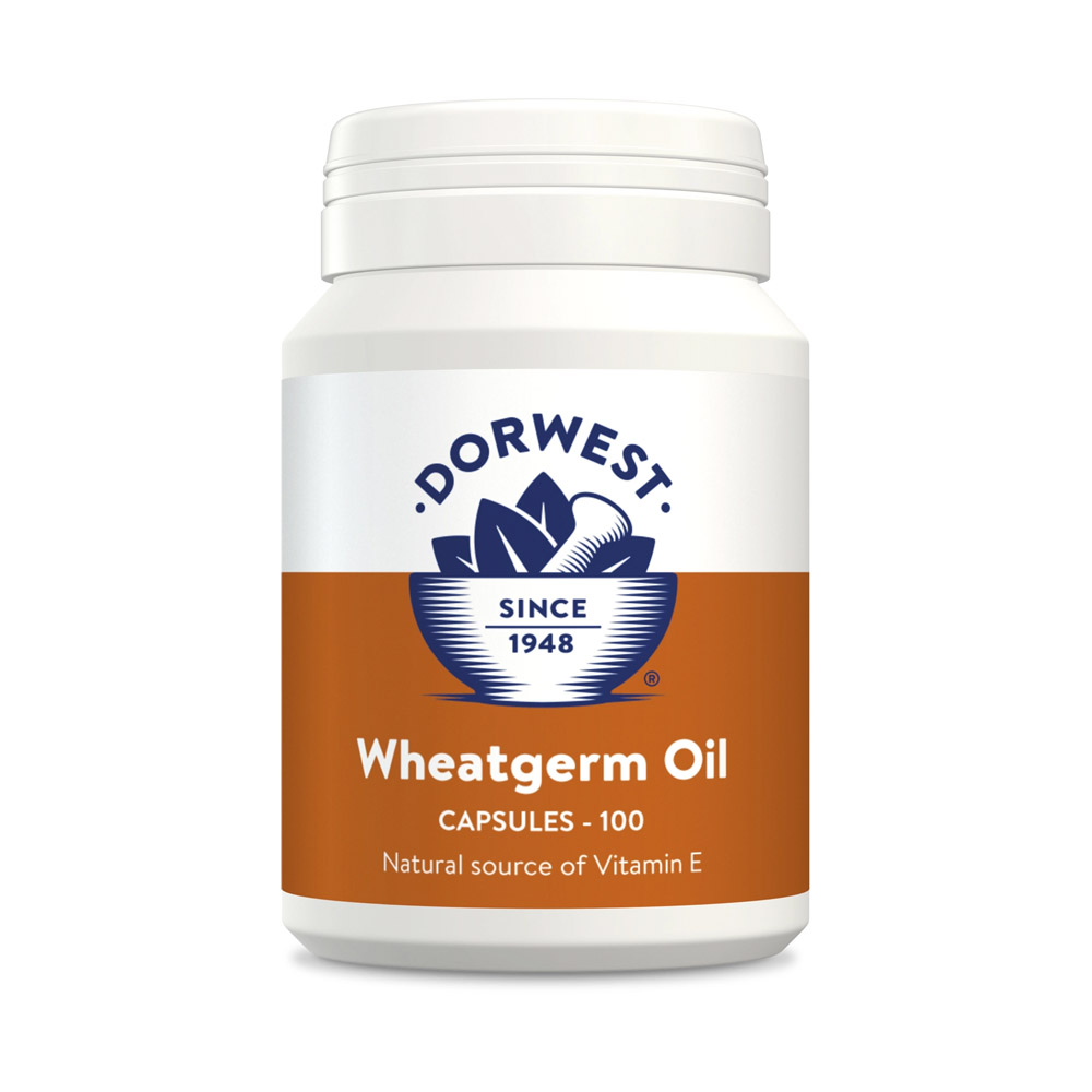 Dorwest Wheatgerm Oil Capsules 