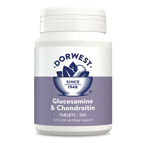 Glucosamine & Chondroitin 100 Tablets-image-21023