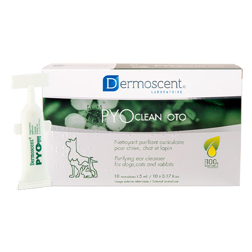 Dermoscent Pyoclean Oto For Dogs & Cats 10x5ml 1 Pack-image-21287