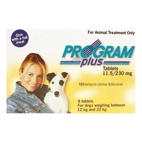 Program Plus For Dogs 21 - 45 Lbs (Yellow) 12 Tablets-image-86