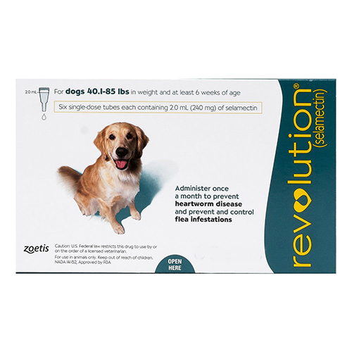 Revolution For Large Dogs 20.1 To 40kg (Green) 12 Pack-image-9626